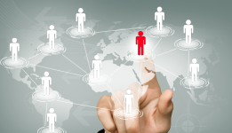 Market Look Consulting